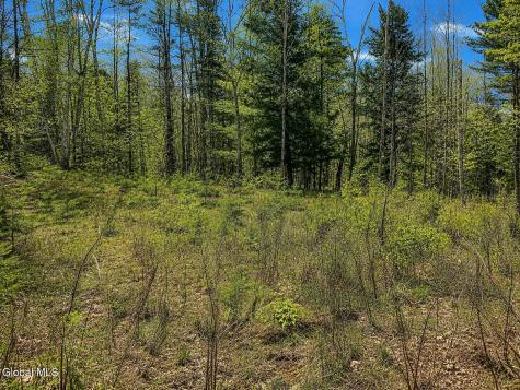 18 Highview Lane Wevertown NY 12886