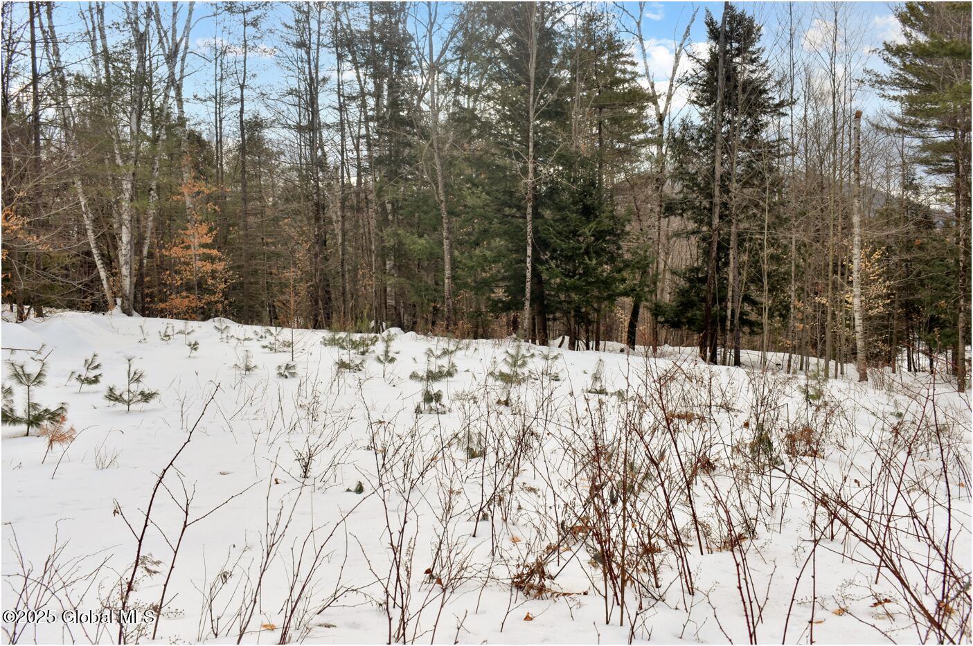 18 Highview Lane Wevertown NY 12886
