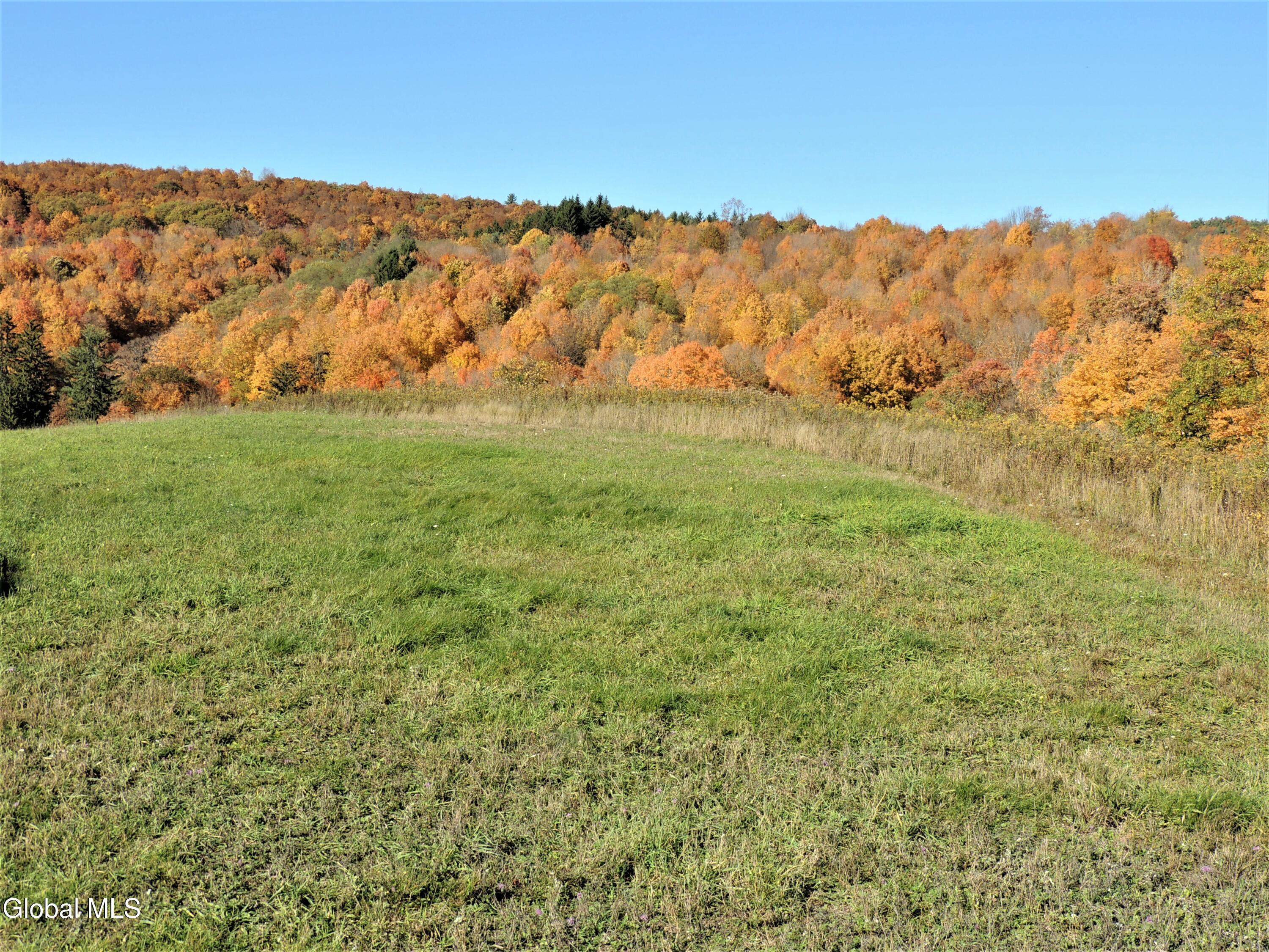 274 Bald Mountain Road Troy NY 12180