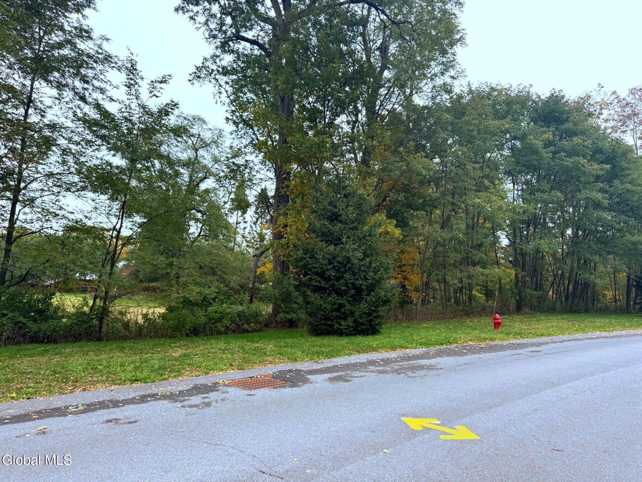 L2 Rolling Meadows Lane Ballston Lake NY 12065