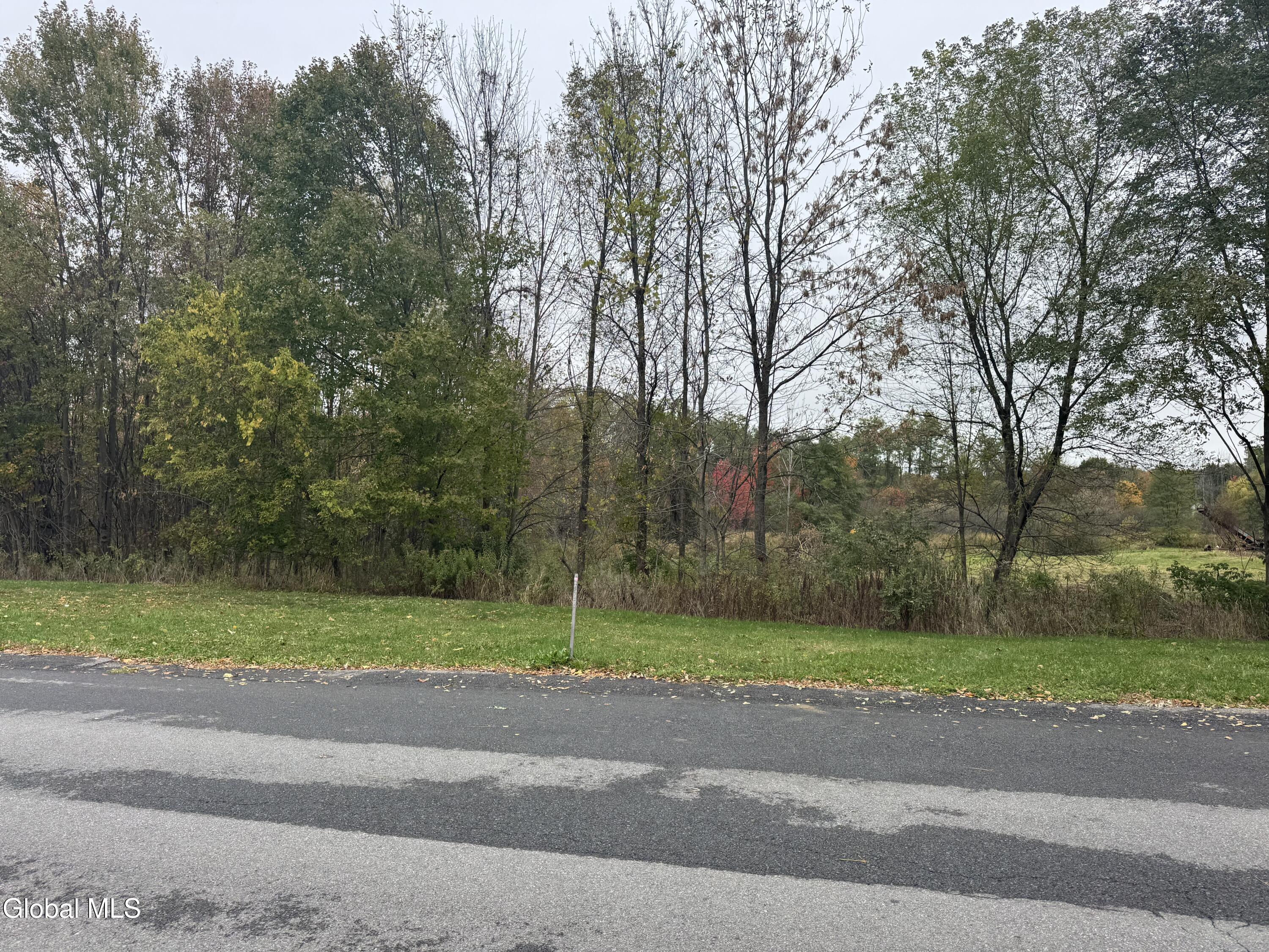 L2 Rolling Meadows Lane Ballston Lake NY 12065