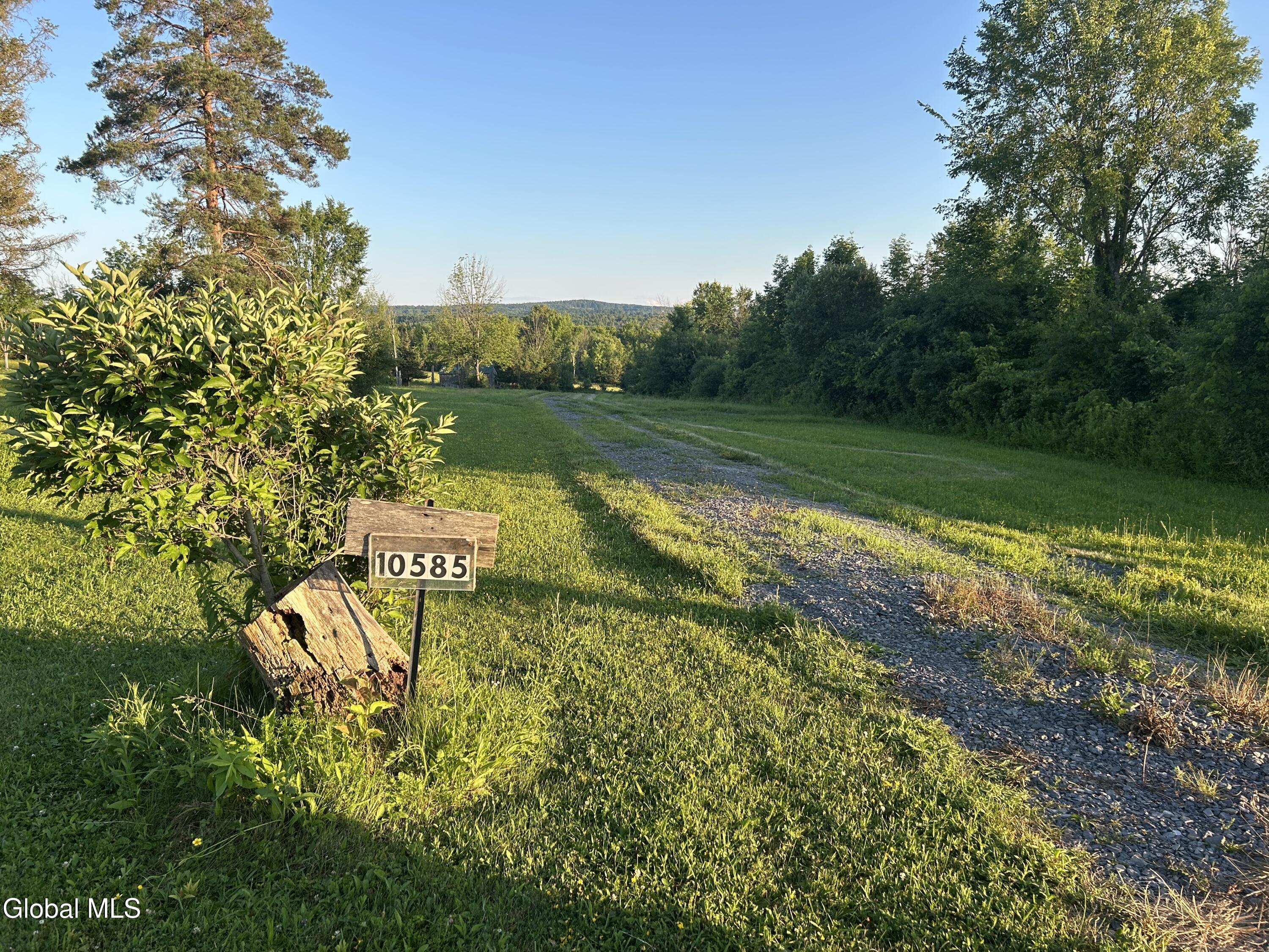 10585 Western Turnpike Delanson NY 12053