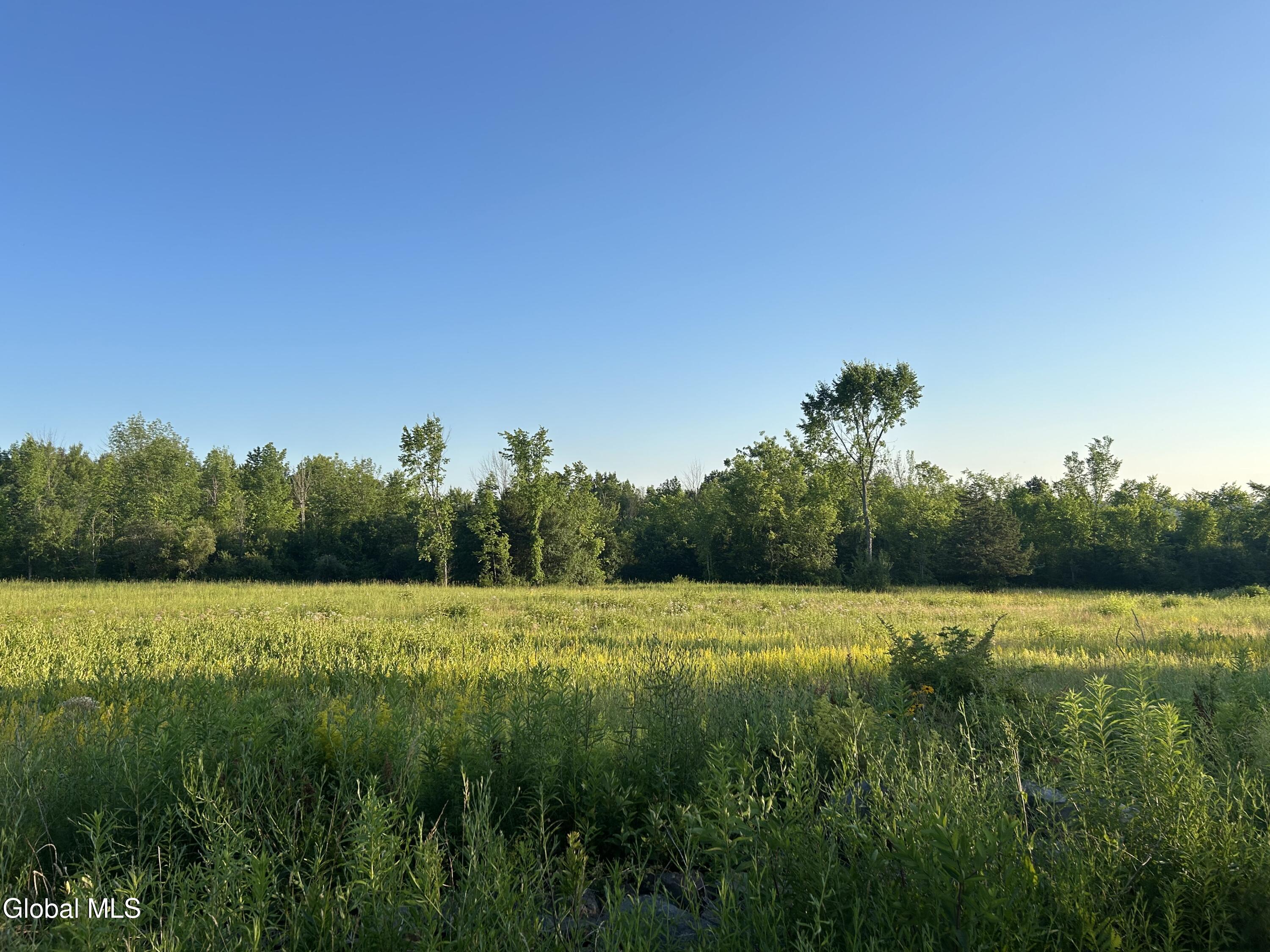 10585 Western Turnpike Delanson NY 12053