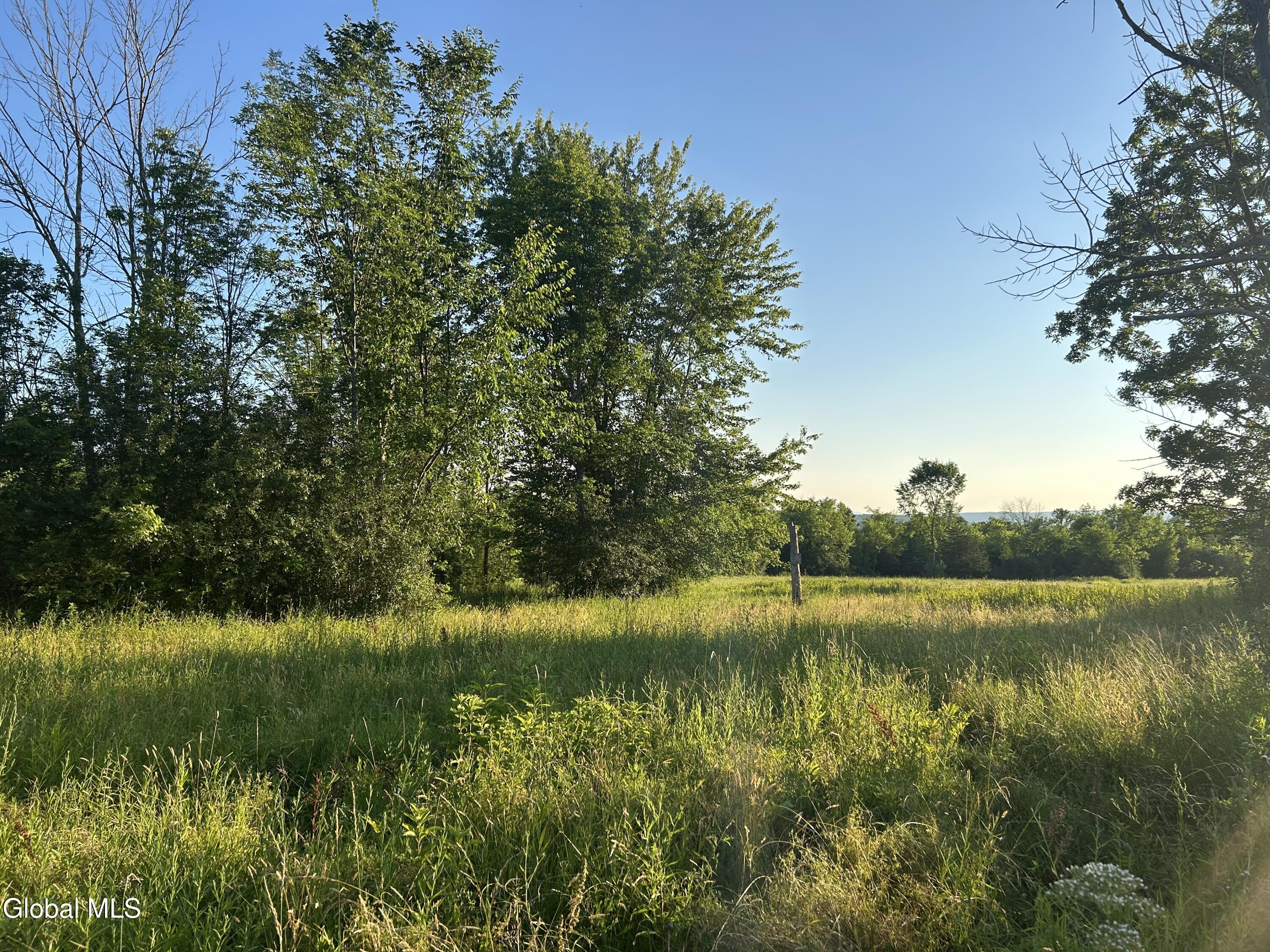 10585 Western Turnpike Delanson NY 12053