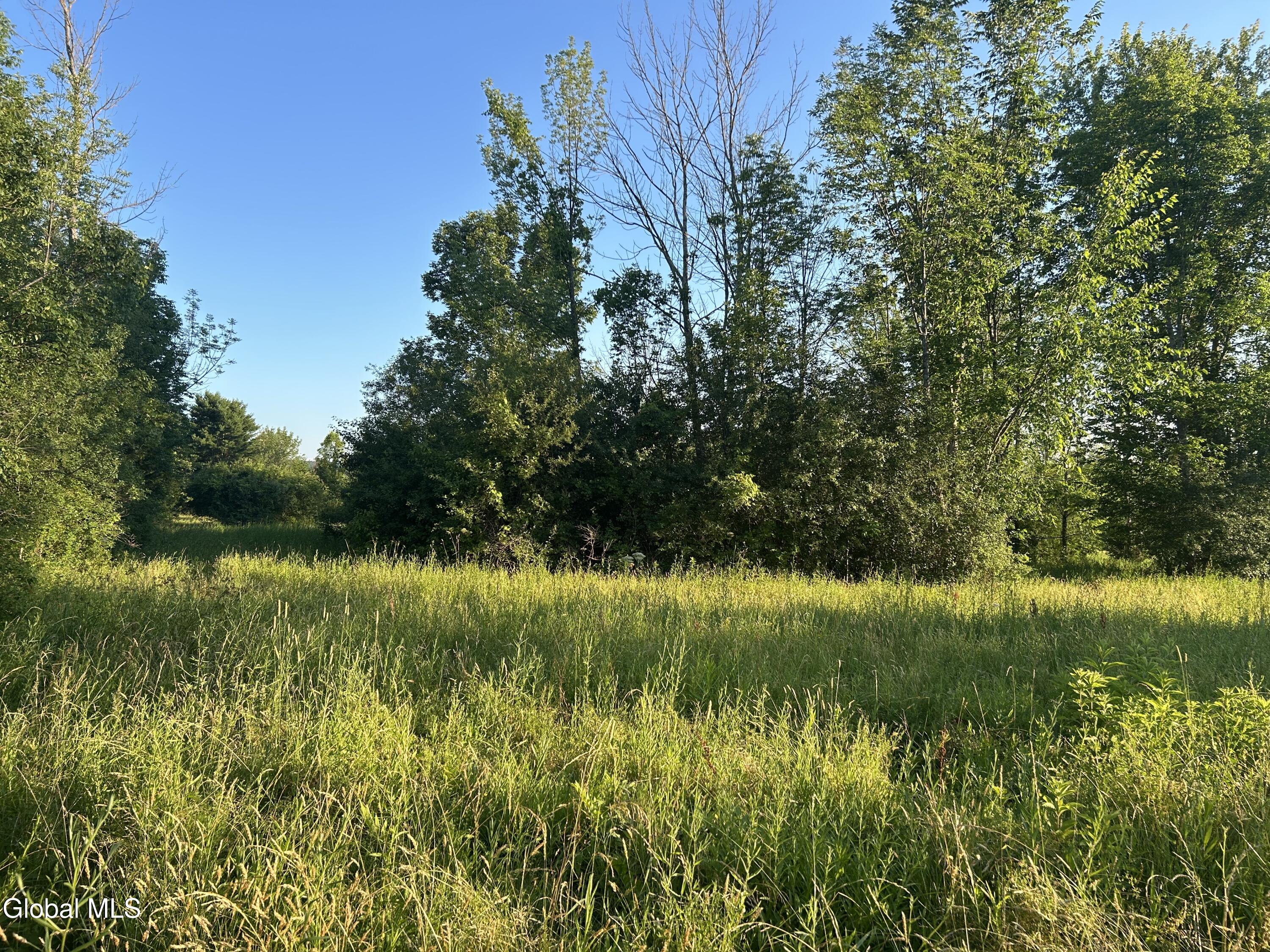 10585 Western Turnpike Delanson NY 12053