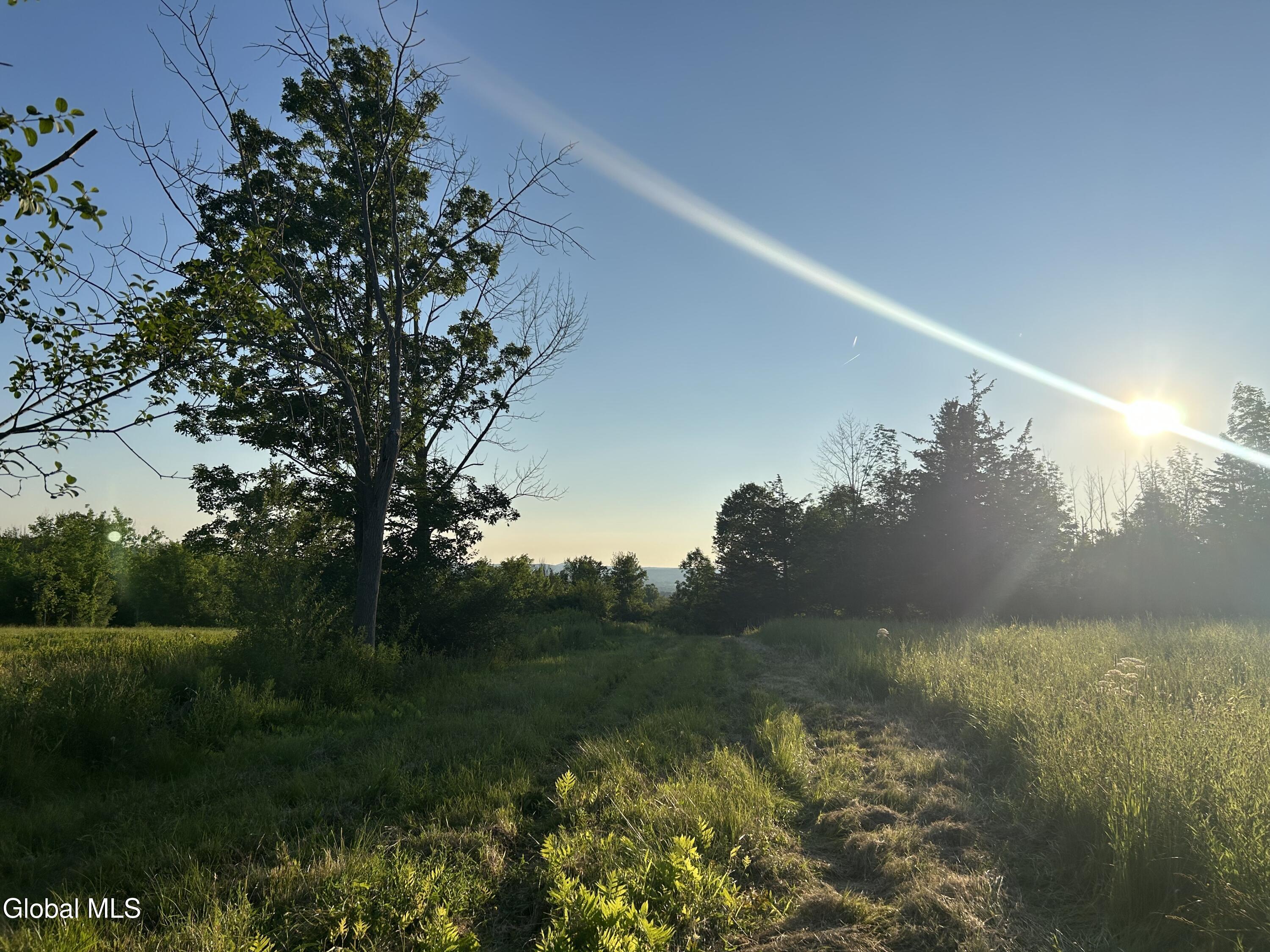 10585 Western Turnpike Delanson NY 12053