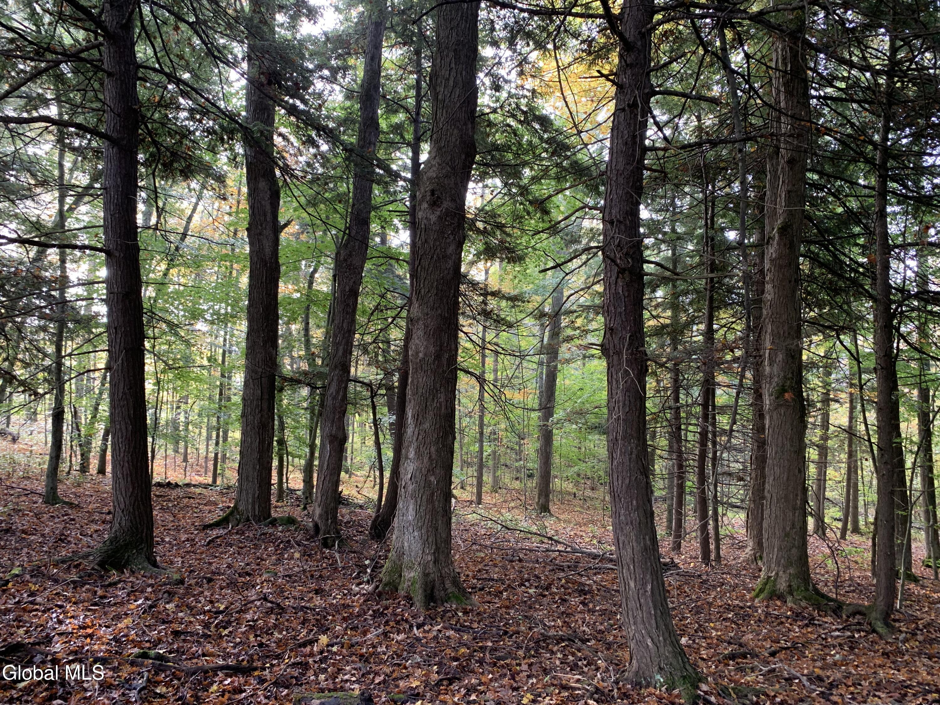 10585 Western Turnpike Delanson NY 12053