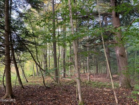 10585 Western Turnpike Delanson NY 12053