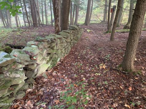 10585 Western Turnpike Delanson NY 12053