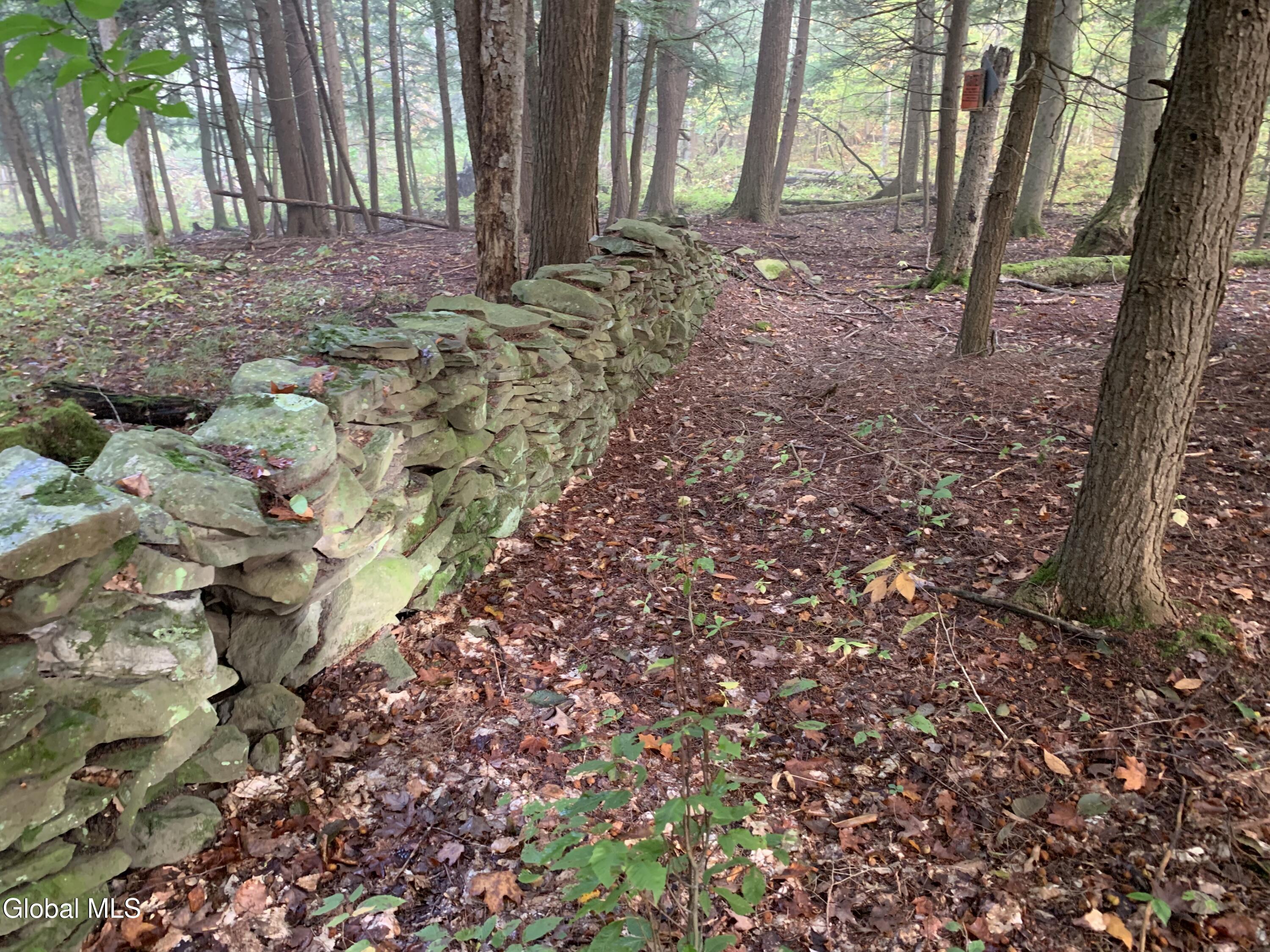 10585 Western Turnpike Delanson NY 12053