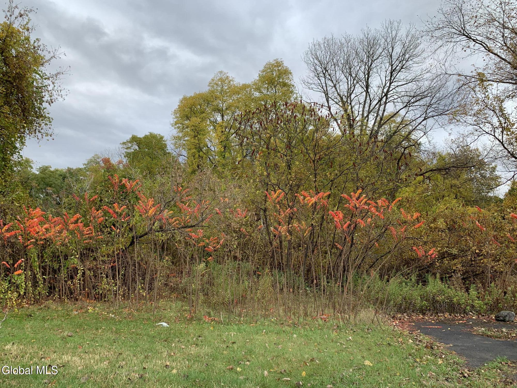 1853 Route 9 Halfmoon NY 12065