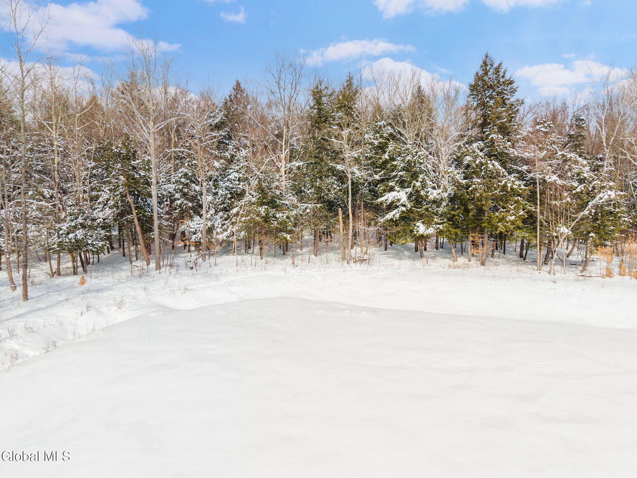 L21.111 Shenendoah Drive Sloansville NY 12160