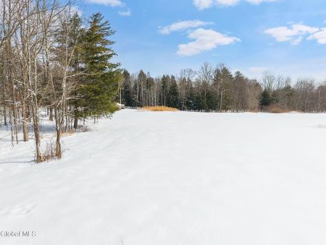 L21.111 Shenendoah Drive Sloansville NY 12160