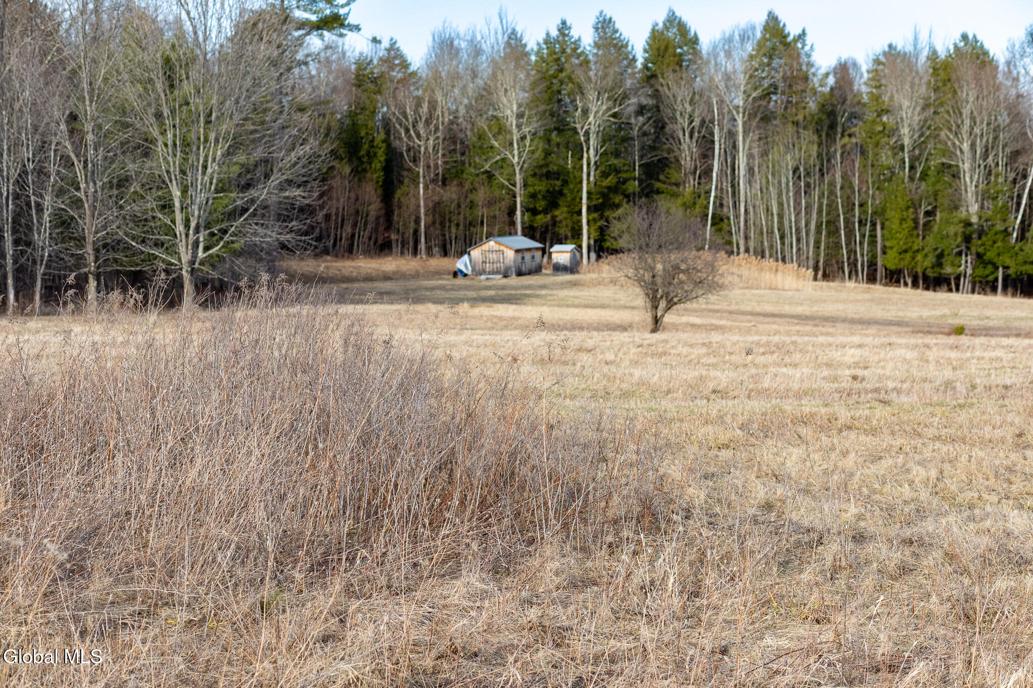 L21.111 Shenendoah Drive Sloansville NY 12160