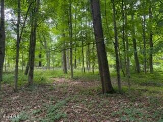 5 Frasier Road Greenfield Center NY 12833