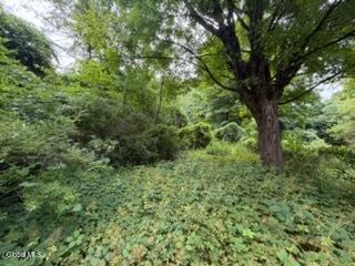 5 Frasier Road Greenfield Center NY 12833