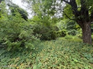5 Frasier Road Greenfield Center NY 12833