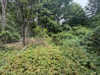 5 Frasier Road Greenfield Center NY 12833