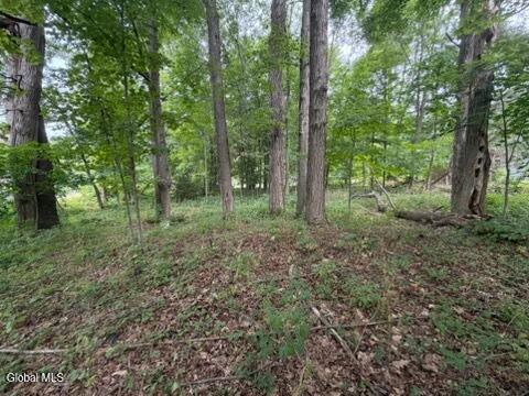 5 Frasier Road Greenfield Center NY 12833