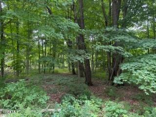 5 Frasier Road Greenfield Center NY 12833