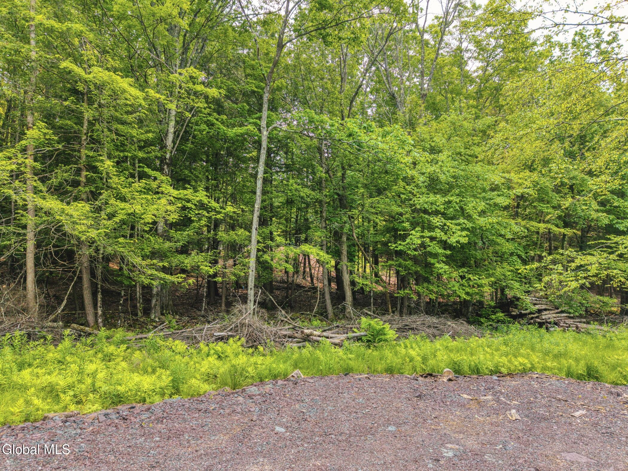 Tbd Boulder Brook Road Windham NY 12496