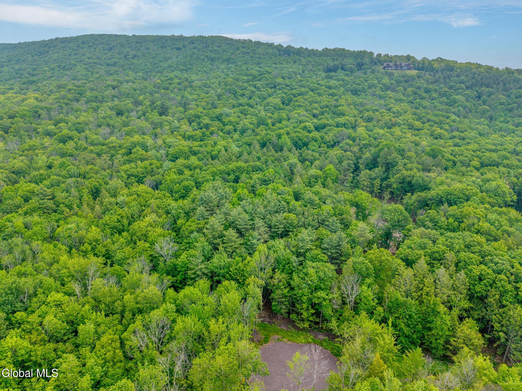 Tbd Boulder Brook Road Windham NY 12496
