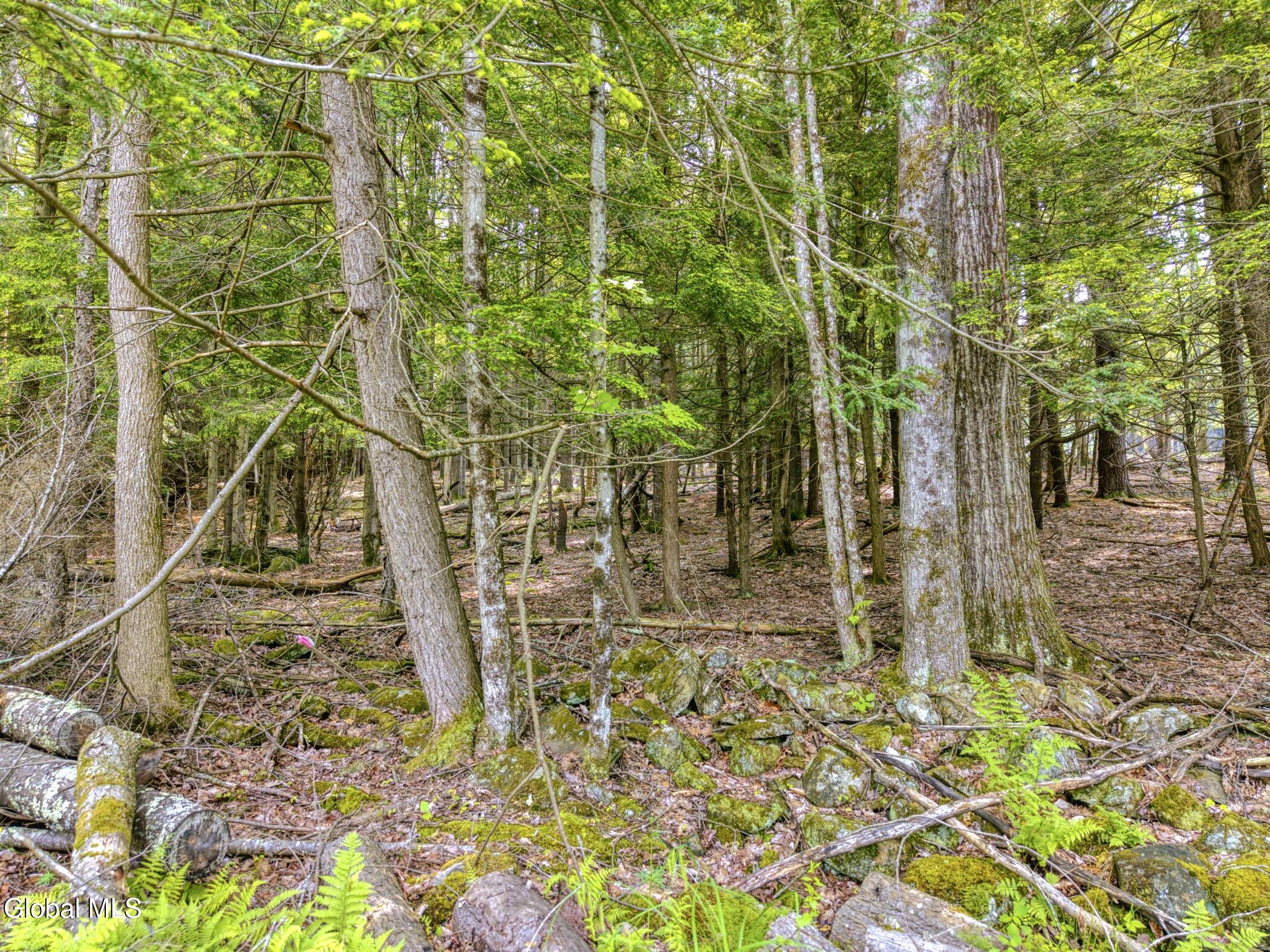 Tbd Boulder Brook Road Windham NY 12496