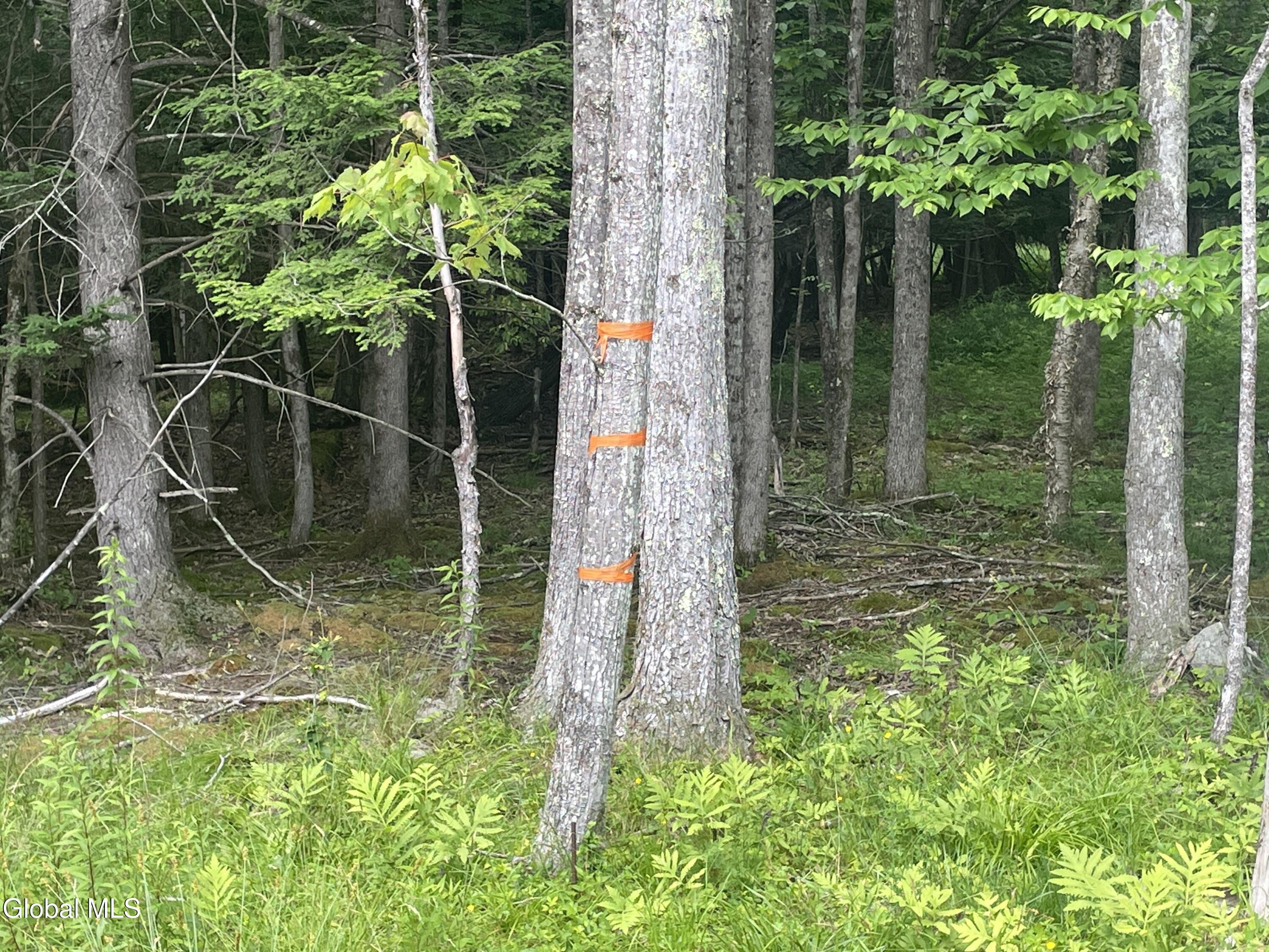 Tbd Boulder Brook Road Windham NY 12496
