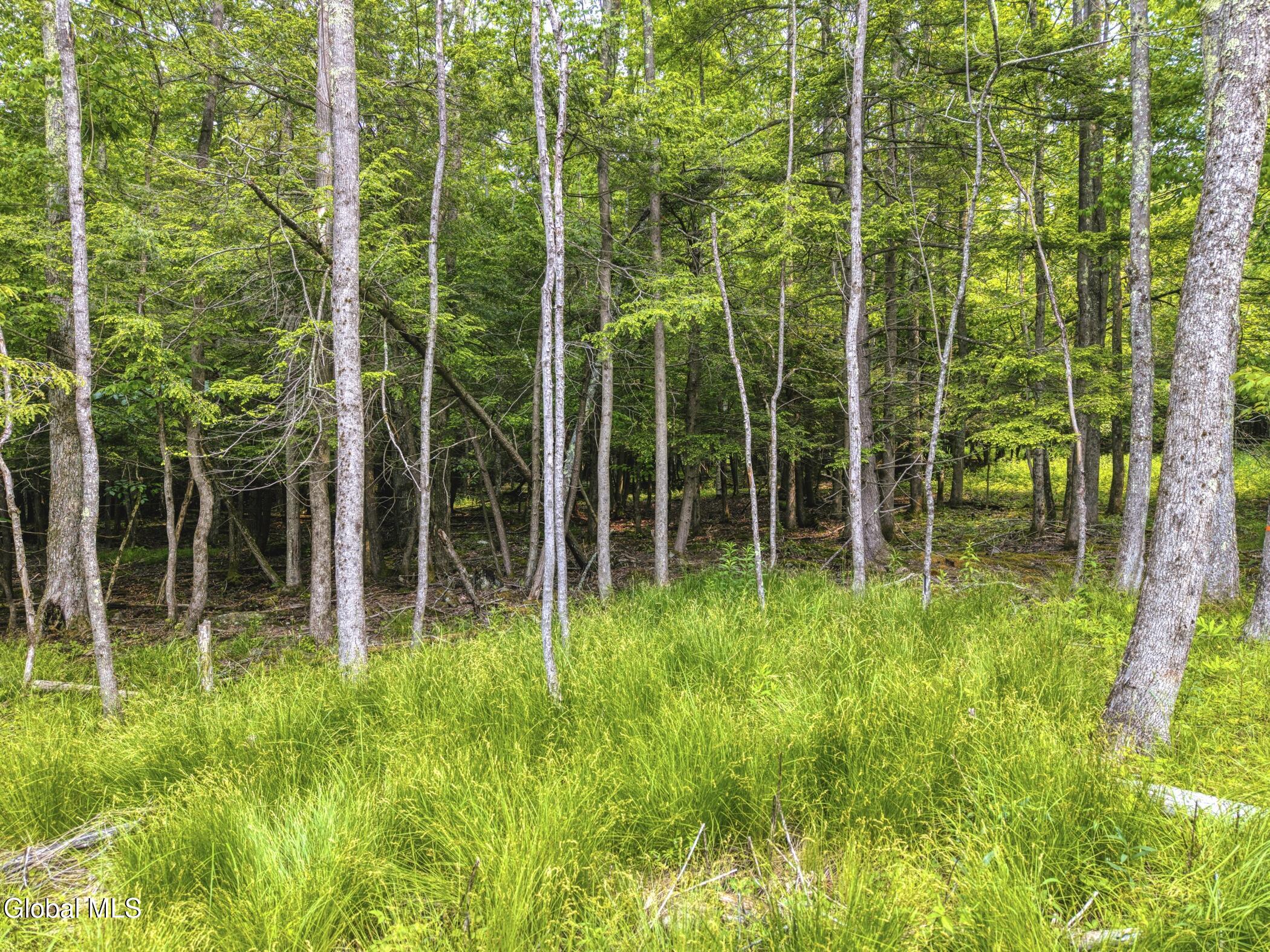 Tbd Boulder Brook Road Windham NY 12496