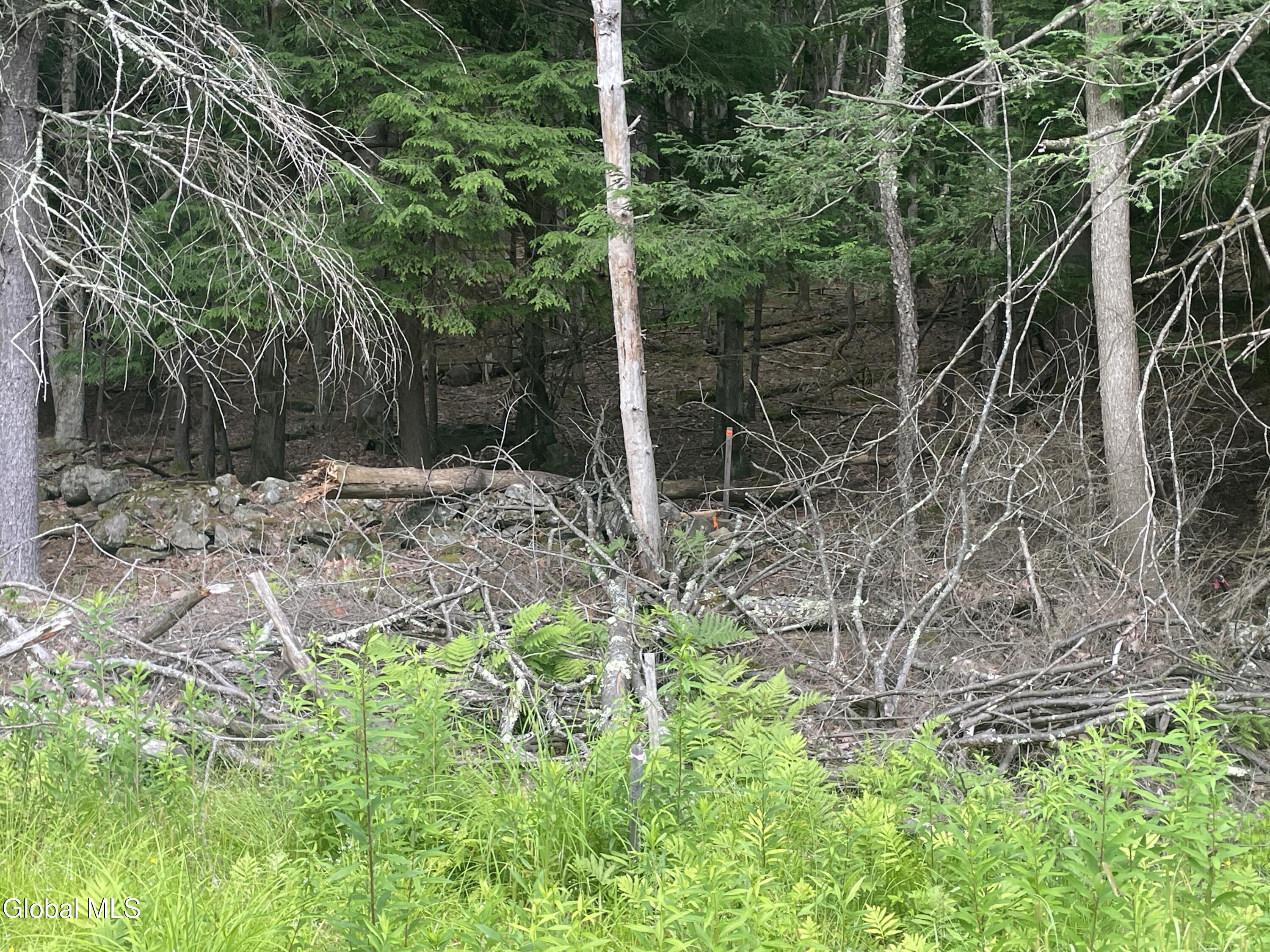 Tbd Boulder Brook Road Windham NY 12496