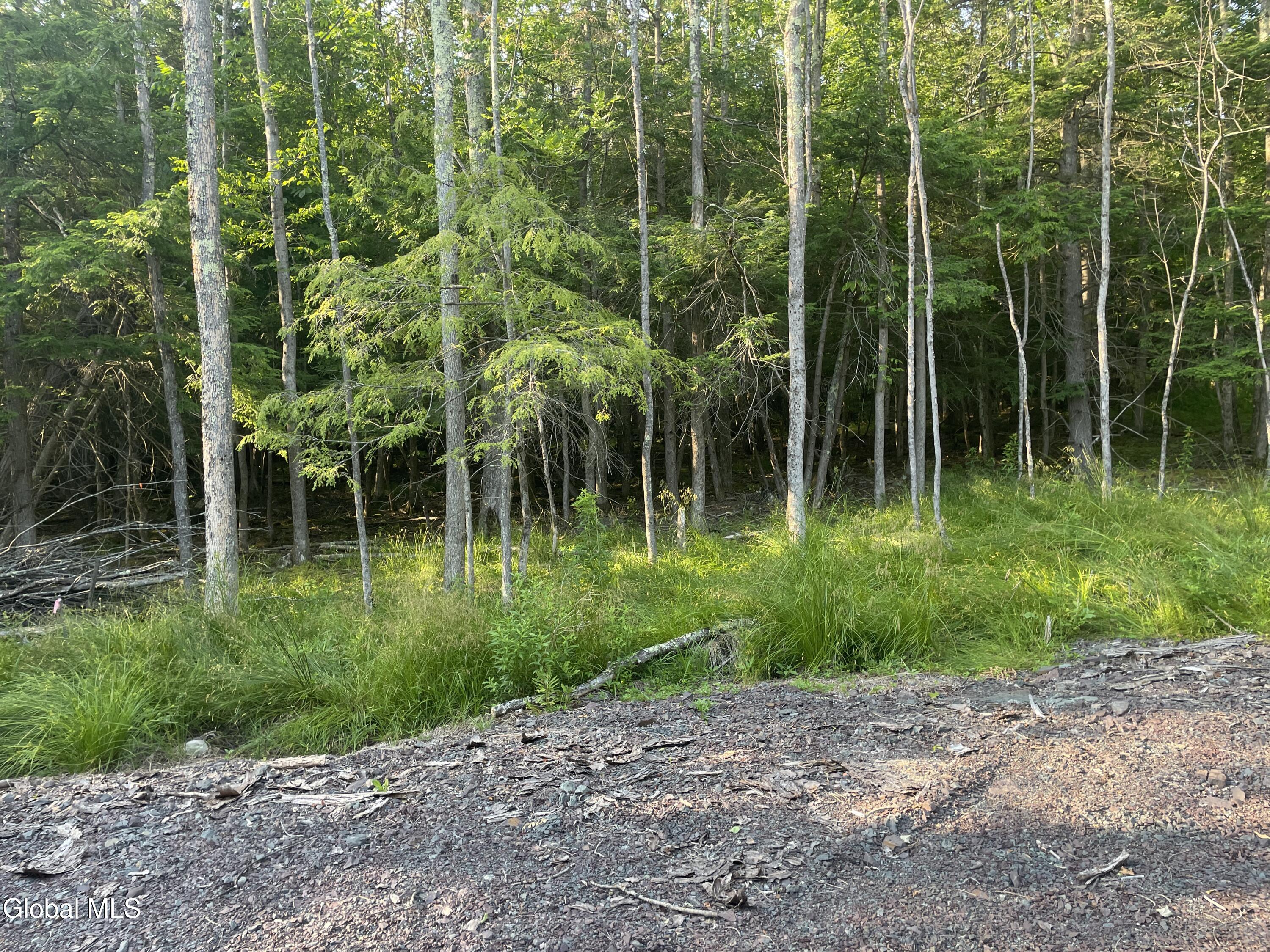 Tbd Boulder Brook Road Windham NY 12496