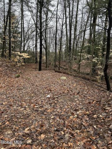 27 S Copeland Pond Way Fort Ann NY 12827