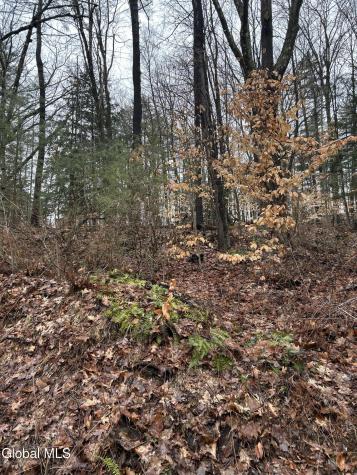 27 S Copeland Pond Way Fort Ann NY 12827