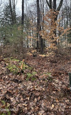 27 S Copeland Pond Way Fort Ann NY 12827