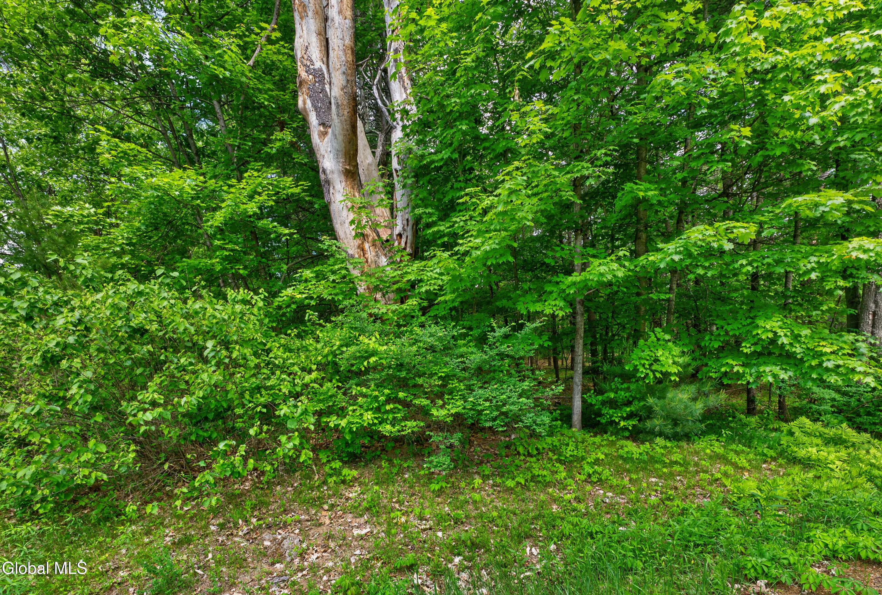 L4 27.11 King Road Saratoga NY 12831