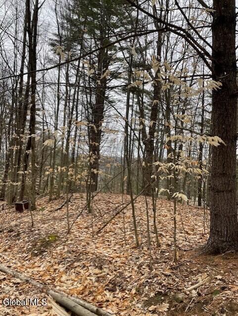8 Deming Private Avenue Hadley NY 12835