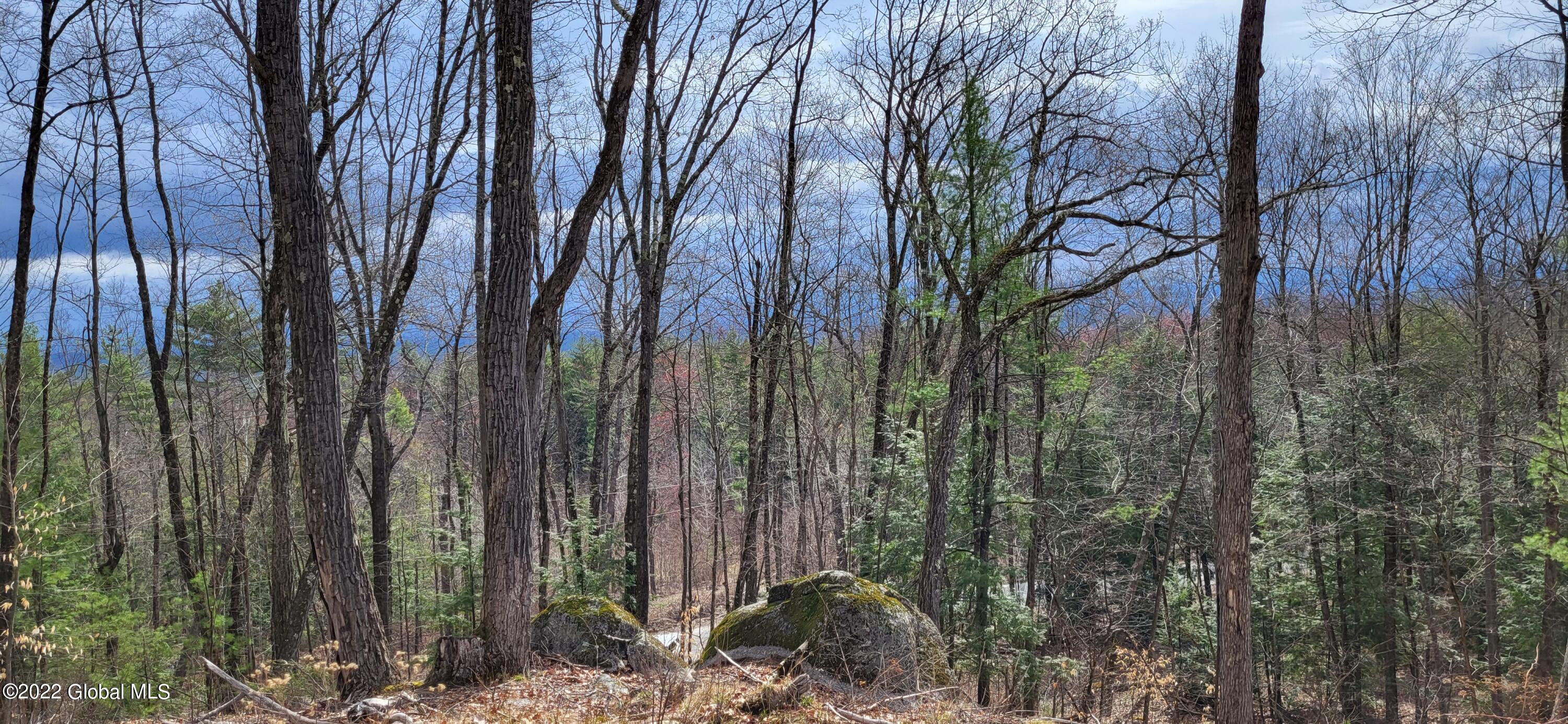 L3 Clendon Brook Road Queensbury NY 12804
