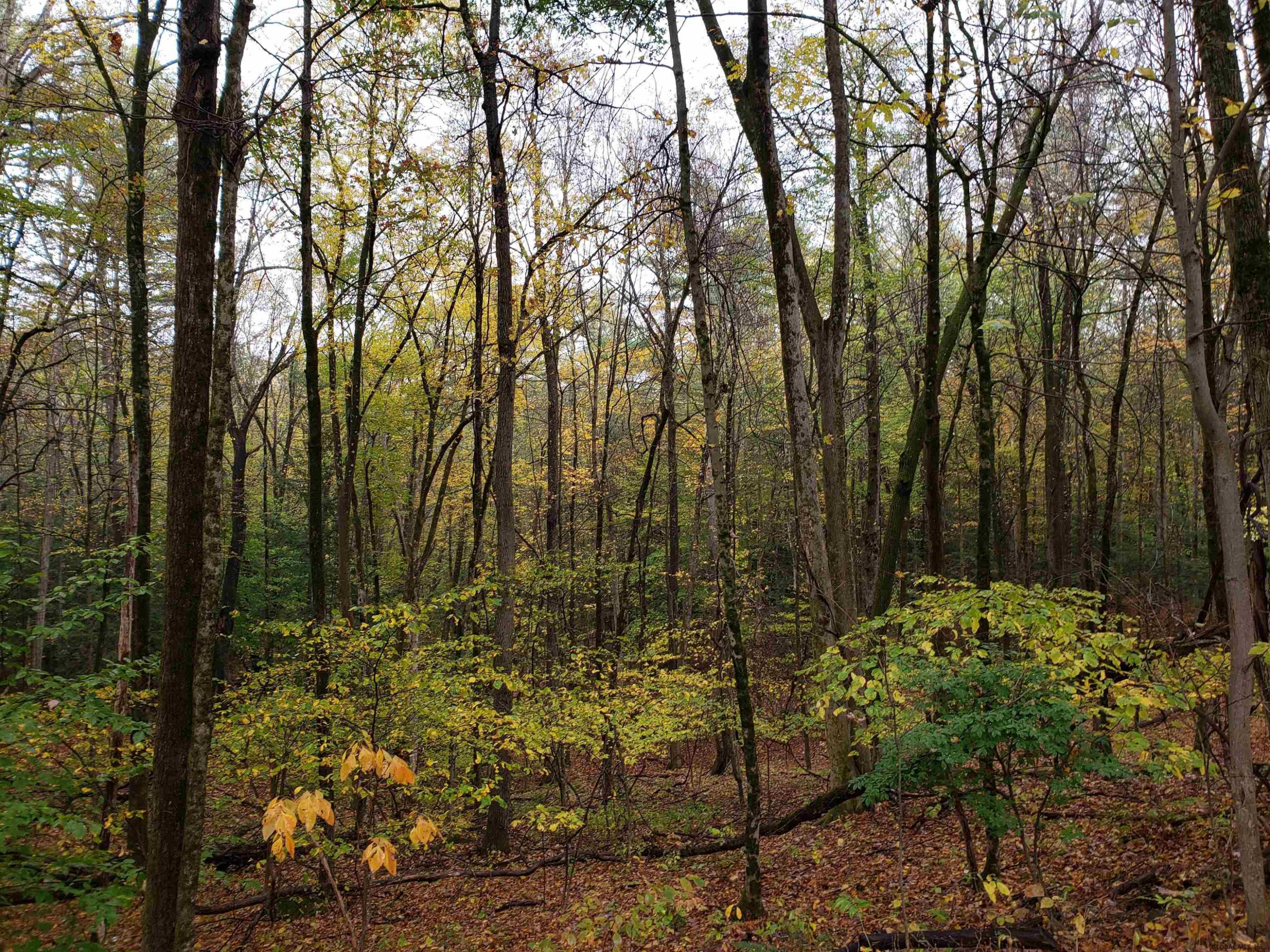L3 Clendon Brook Road Queensbury NY 12804