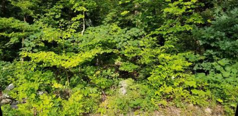 L3 Clendon Brook Road Queensbury NY 12804