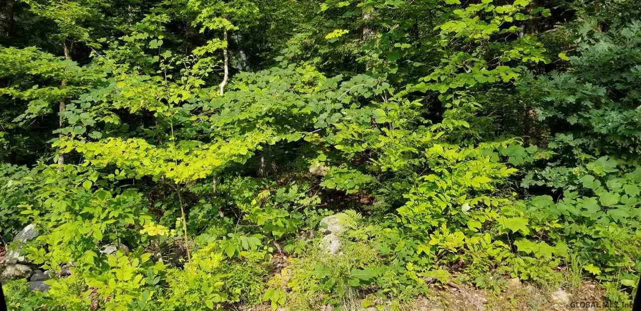 L3 Clendon Brook Road Queensbury NY 12804