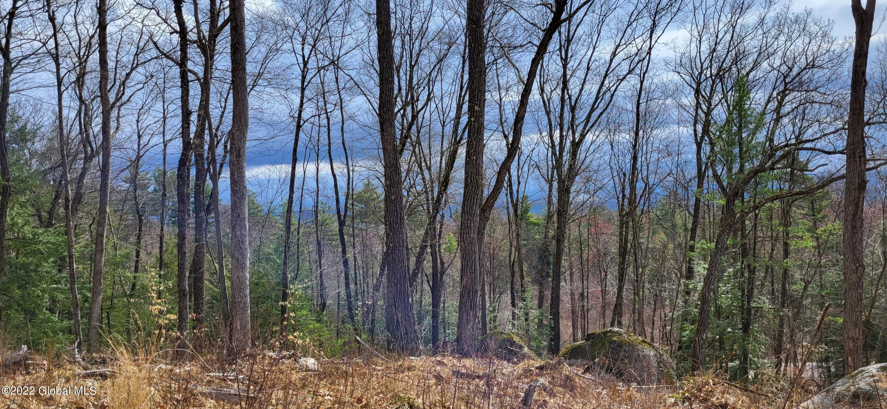 L3 Clendon Brook Road Queensbury NY 12804