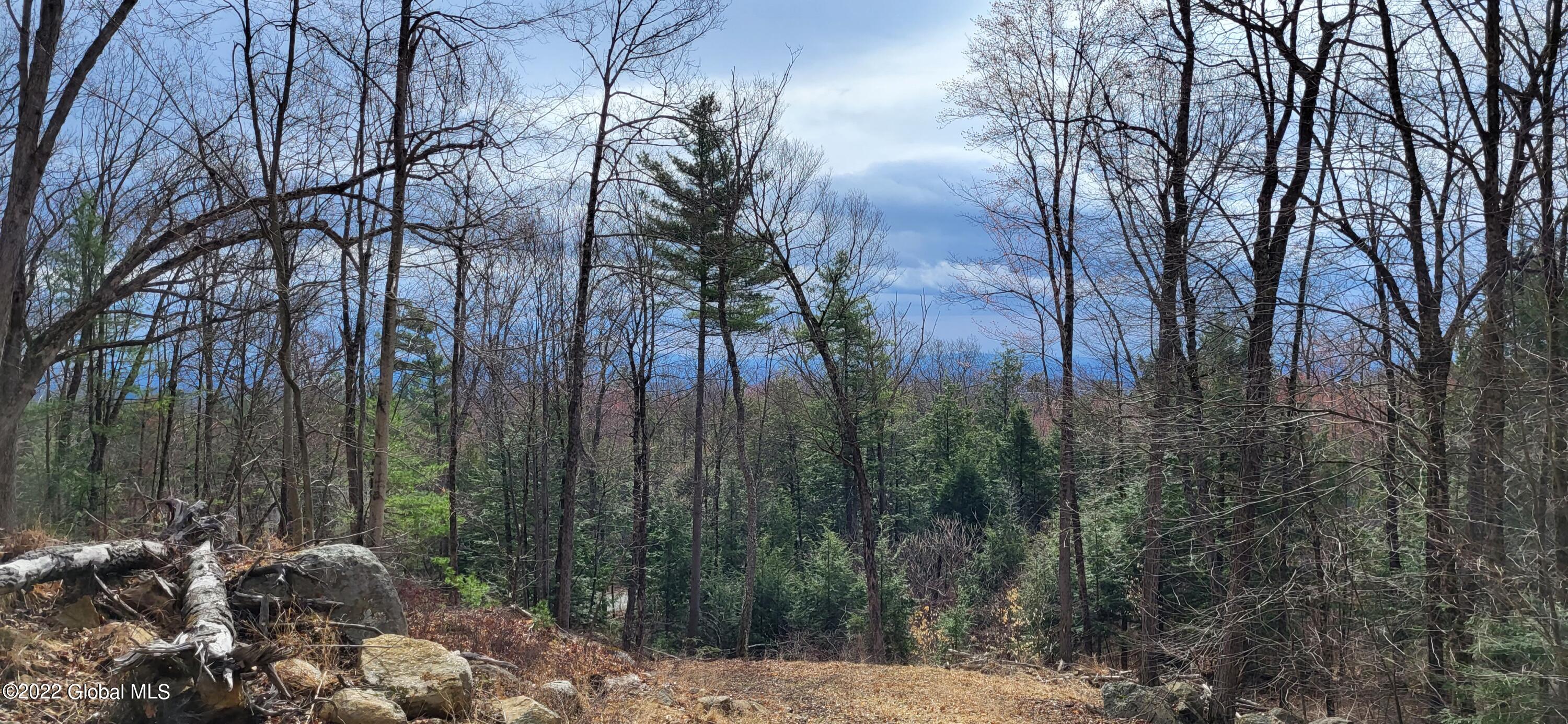 L3 Clendon Brook Road Queensbury NY 12804