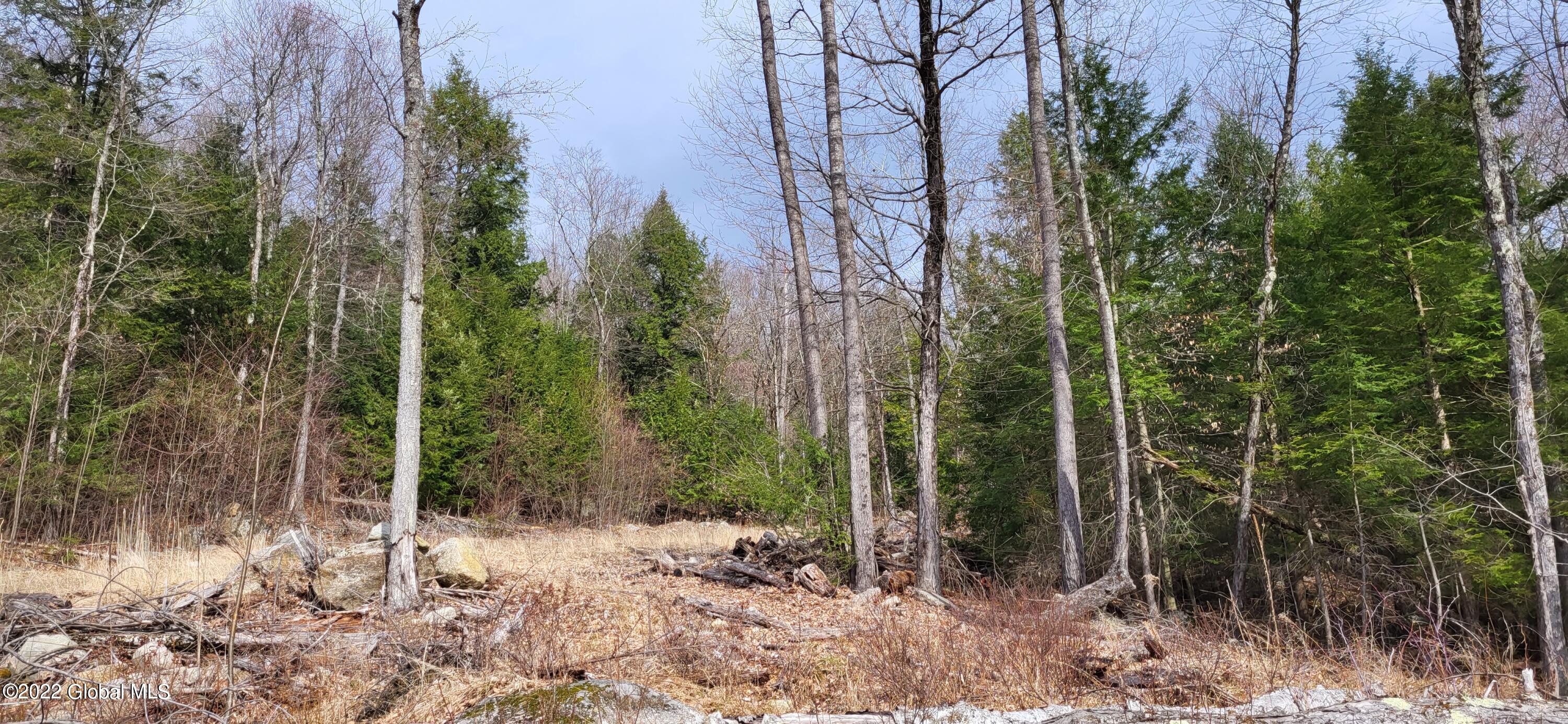 L3 Clendon Brook Road Queensbury NY 12804