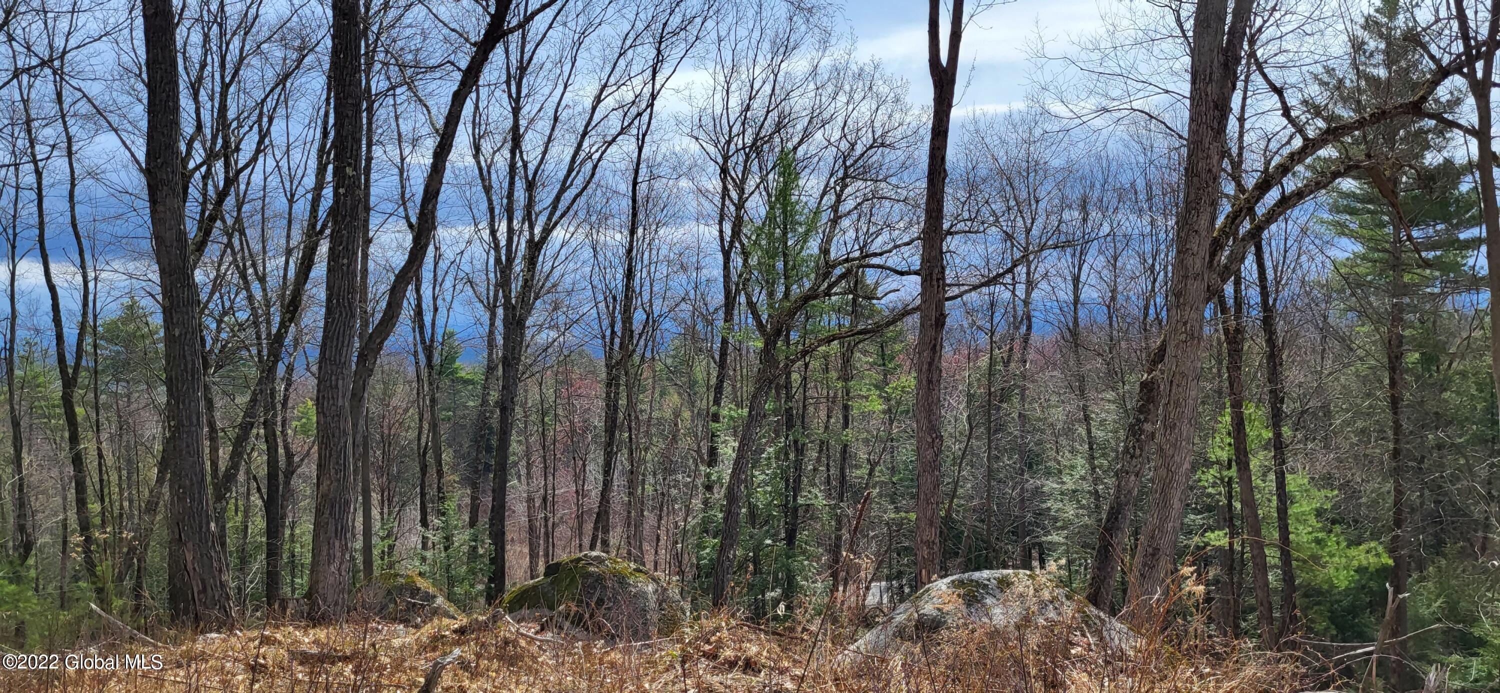L3 Clendon Brook Road Queensbury NY 12804