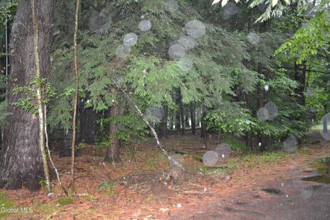 0 Stable Drive Lake Luzerne NY 12846