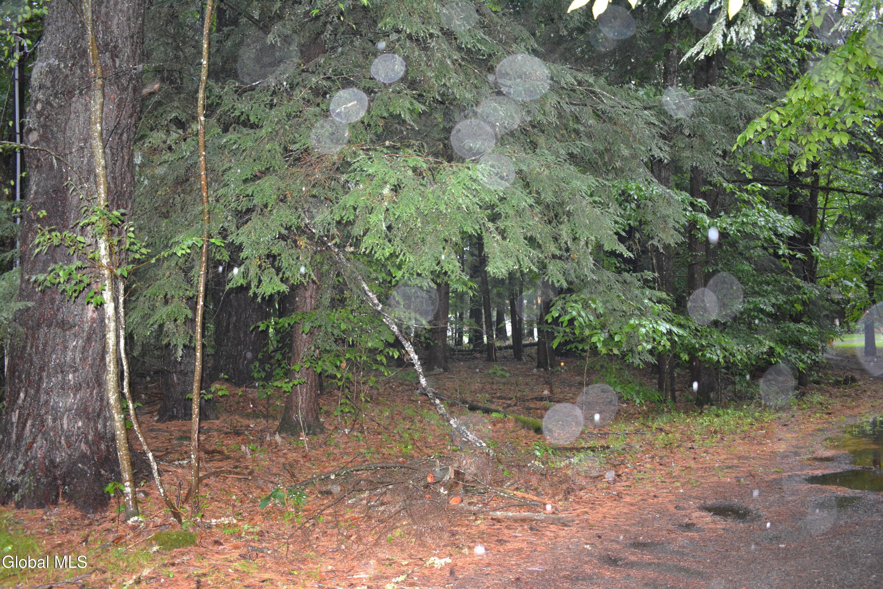 0 Stable Drive Lake Luzerne NY 12846