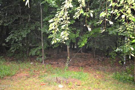0 Stable Drive Lake Luzerne NY 12846
