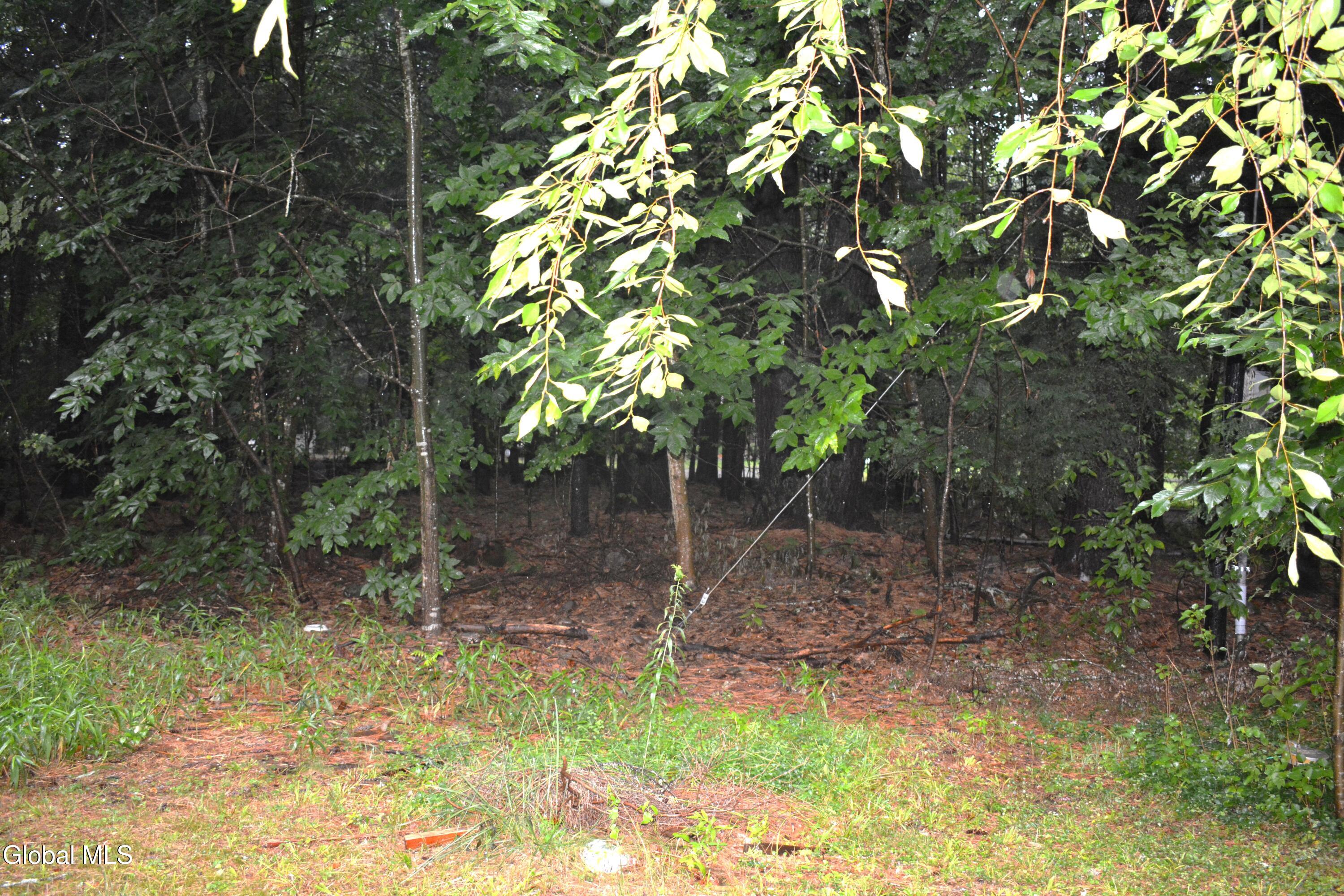 0 Stable Drive Lake Luzerne NY 12846