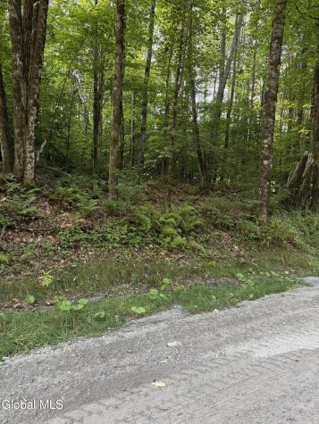 362 Dickinson Hill Road Bolton NY 12824