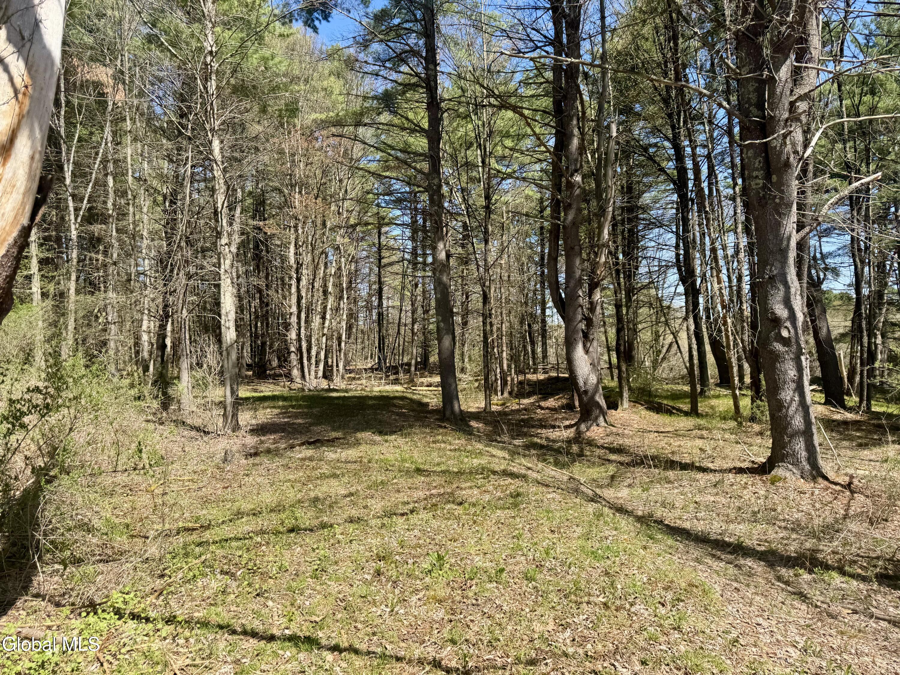 9162 State Route 22 Granville NY 12832